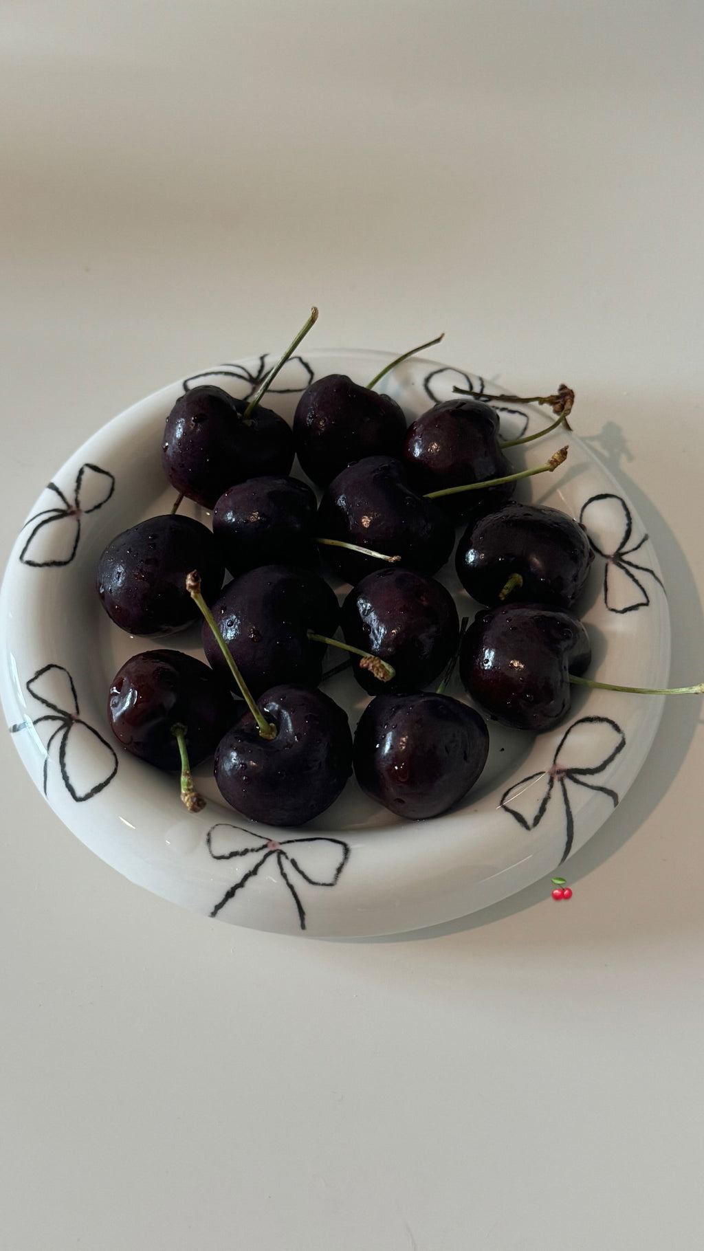 Small+ X-Small Plate Set