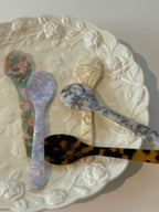 Ice Cream Dessert Spoon Set (5)