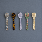 Ice Cream Dessert Spoon Set (5)