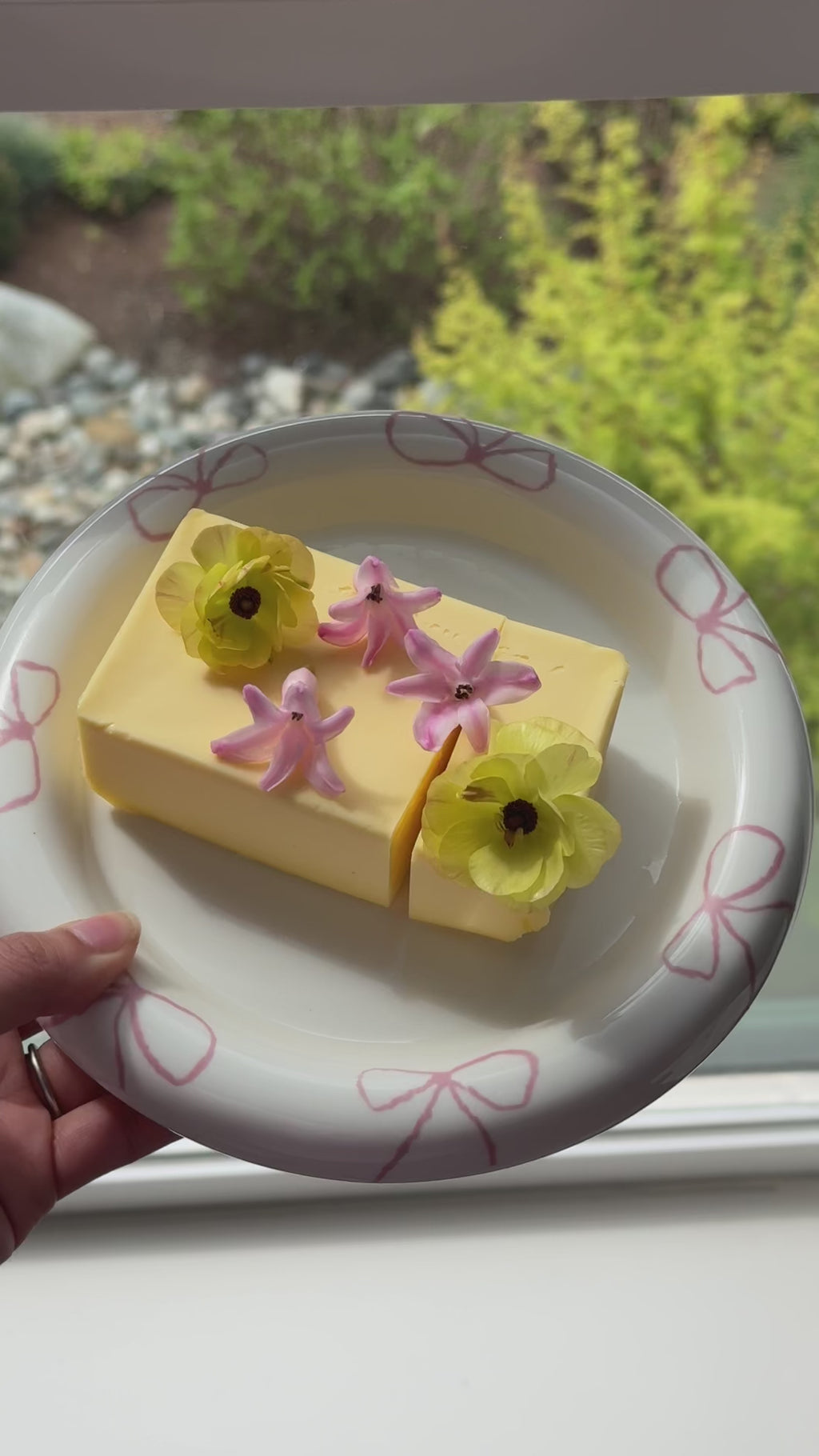 Pink Small+ X-Small Plate Set